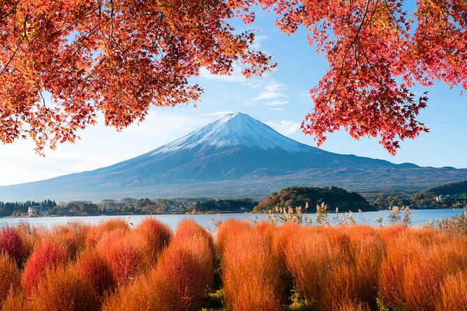 Mt Fuji Private Day Trip from Tokyo with English speaking driver - Kitaguchi Hongu Fuji Sengen Jinja Shrine: The Volcano-Temple Connection