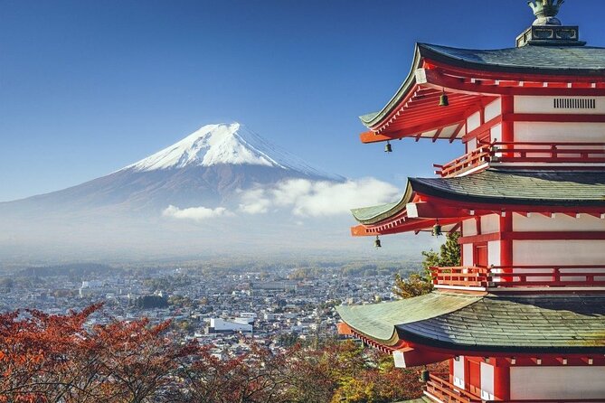 Mt. Fuji Private Tour by Car with Pick-up from Tokyo - Key things to know before you go