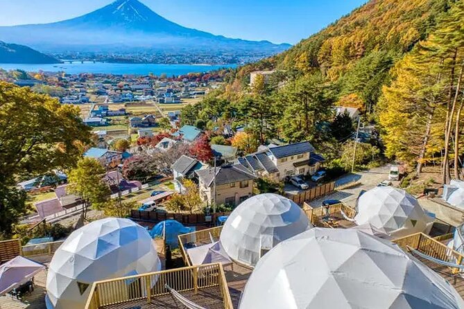 Mt. Fuji Private Tour by Car with Pick-up from Tokyo - Why this Mt. Fuji private car tour feels different from the usual trip