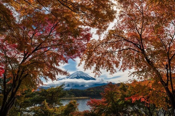 Mt. Fuji Private Tour by Car with Pick-up from Tokyo - Stop-by-stop: what each place gives you (and what to watch for)