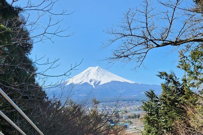 Mt Fuji Private Tour with English Speaking Driver - The route: shrines, lake views, and Fuji Five Lakes highlights in one long day