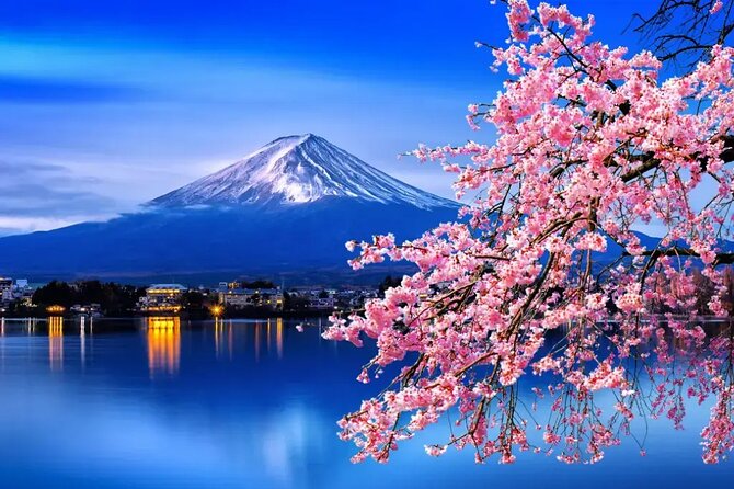 Mt. Fuji Tours with Kawaguchi Lake Ropeway View English Speaking - A Tokyo-to-Fuji Day Plan That Saves You From Logistics