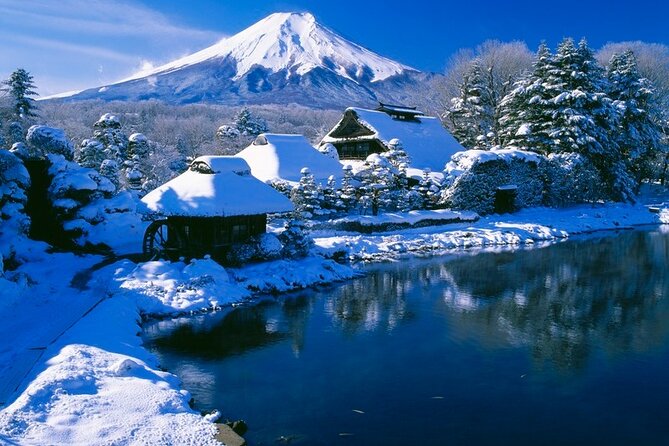 Mt. Fuji Tours with Kawaguchi Lake Ropeway View English Speaking - Price and Value: What $81.41 Actually Buys You