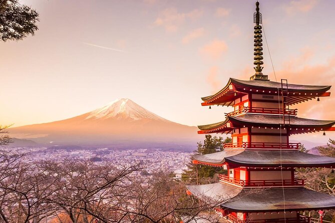 Mt. Fuji Tours with Kawaguchi Lake Ropeway View English Speaking - Pickup in Tokyo: Two Key Options, and a Night-Before Reminder
