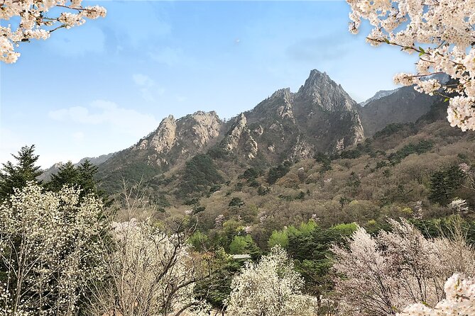 Mt. Seorak+Nami Island+Garden of Morning Calm Day Trip from Seoul - Pickup points in Seoul and what “included transport” really means