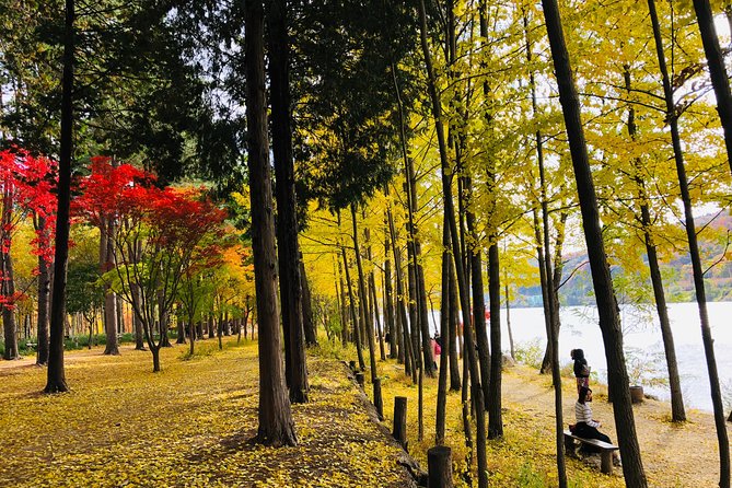 Mt. Seorak+Nami Island+Garden of Morning Calm Day Trip from Seoul - Cable car not an option? Jujeongol Valley in fall foliage season