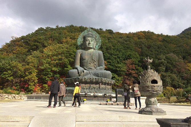 Mt. Seorak+Nami Island+Garden of Morning Calm Day Trip from Seoul - Nami Island ferry time: classic scenery with crowd math