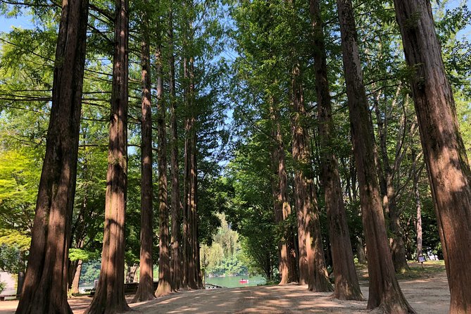 Mt. Seorak+Nami Island+Garden of Morning Calm Day Trip from Seoul - Garden of Morning Calm: your calm reset (and why timing matters)