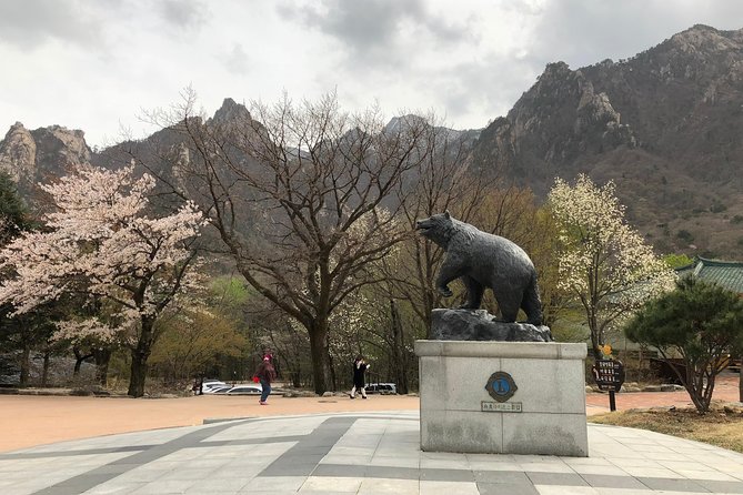 Mt. Seorak+Nami Island+Garden of Morning Calm Day Trip from Seoul - What’s included vs what costs extra (so there are no surprises)