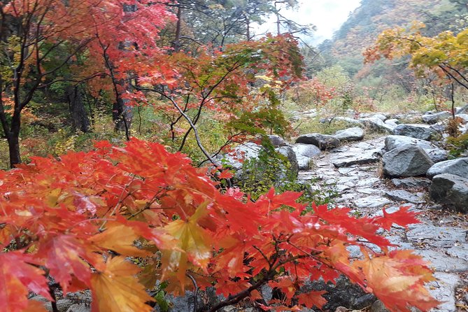 Mt. Seorak+Nami Island+Garden of Morning Calm Day Trip from Seoul - The guide effect: why certain names keep showing up