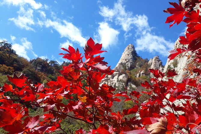 Mt. Seorak+Nami Island+Garden of Morning Calm Day Trip from Seoul - Mt. Seorak and Shinheungsa Temple: where the day gets real