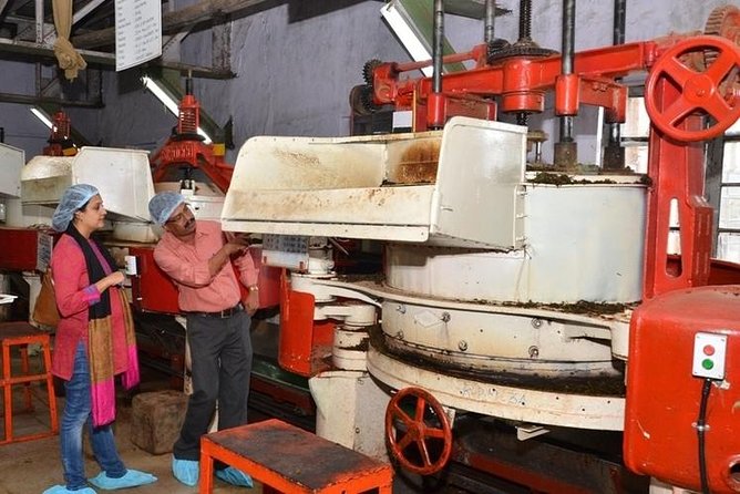 Munnar Tea Trail Tour with Factory Experience ( By Munnar Info) - The plantation walk: tea gardens, working farmers, and what to look for