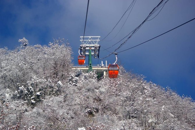 Mutianyu Great Wall&Summer Palace Excursion:Group/Private Options - Getting to Mutianyu: cable car vs ski lift plus the toboggan