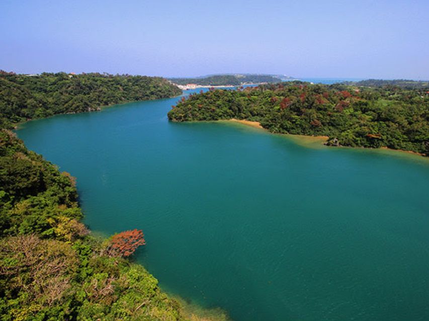 Naha: North Okinawa Sightseeing Tour & Churaumi Aquarium - Kouri Island and Kouri Bridge: Big Views, Small Time Window