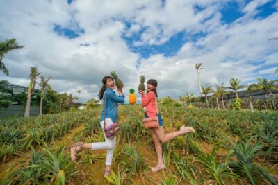 Naha: North Okinawa Sightseeing Tour & Churaumi Aquarium - Nago Pineapple Park: Cart Ride, Gardens, and the Adults-Need-to-Like-Pineapple Test