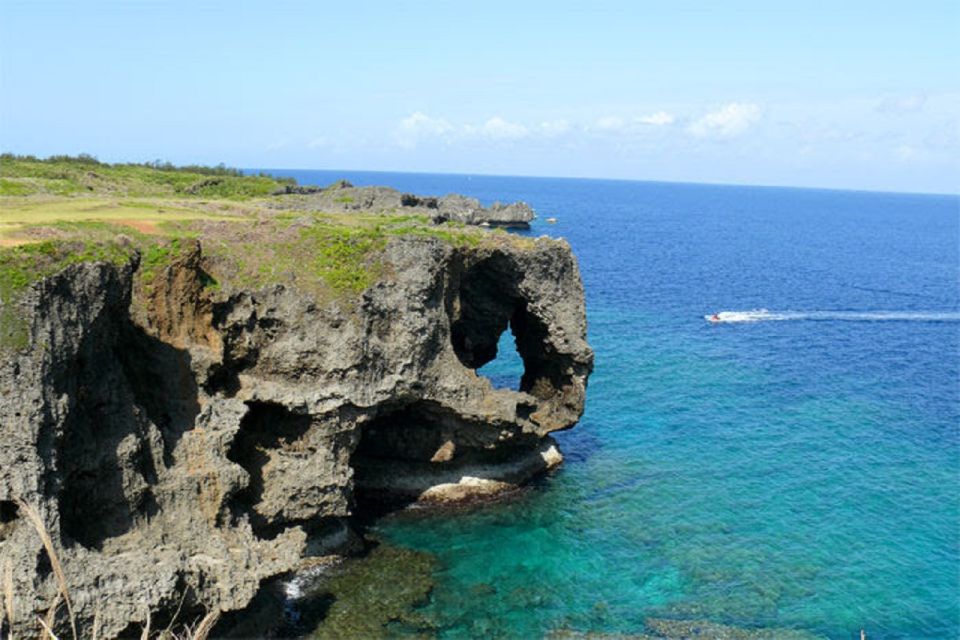 Naha: North Okinawa Sightseeing Tour & Churaumi Aquarium - Churaumi Aquarium at Ocean Expo Park: Whale Sharks, Crowds, and a Smart Plan