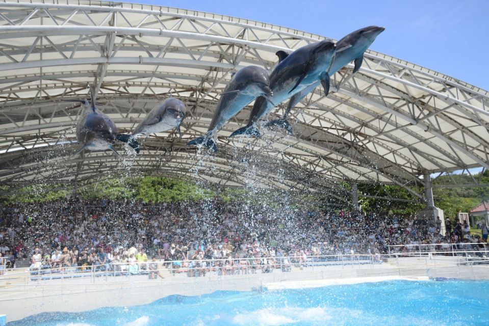 Naha: North Okinawa Sightseeing Tour & Churaumi Aquarium - Cape Manzamo: Elephant Rock Views With Included Admission
