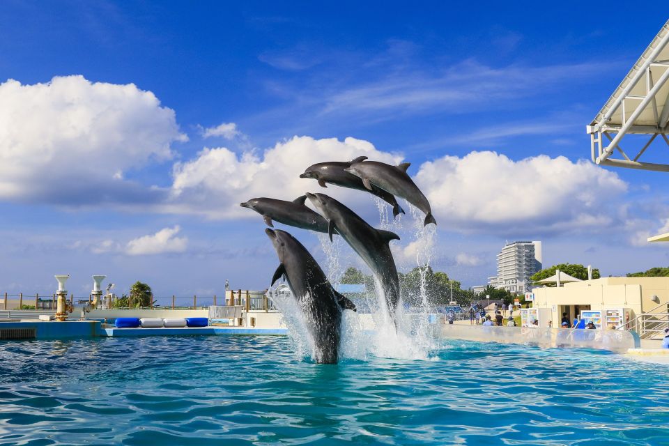 Naha: North Okinawa Sightseeing Tour & Churaumi Aquarium - How the Audio Guide and Attendant Keep the Day Smooth