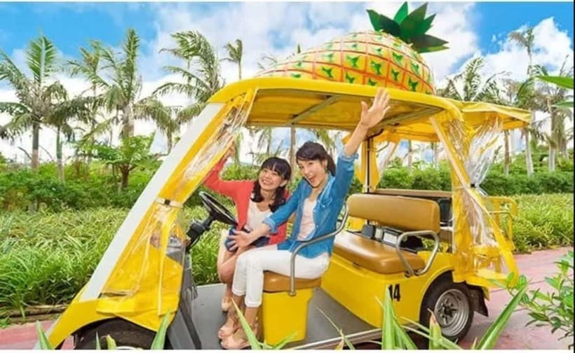 Naha: North Okinawa Sightseeing Tour & Churaumi Aquarium - Price and Value: Is About $50 a Good Deal for What You Get?