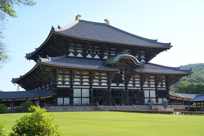 Nara Early Morning Tour (Kyoto or Osaka Departure Available) - Why start at Nara Park so early