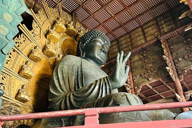 Nara Early Morning Tour (Kyoto or Osaka Departure Available) - Kasuga Grand Shrine: lanterns you can count (almost)