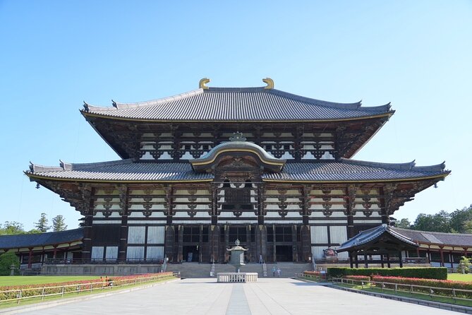 Nara Early Morning Tour (Kyoto or Osaka Departure Available) - Nara Park deer time: sacred legends and real feeding tips