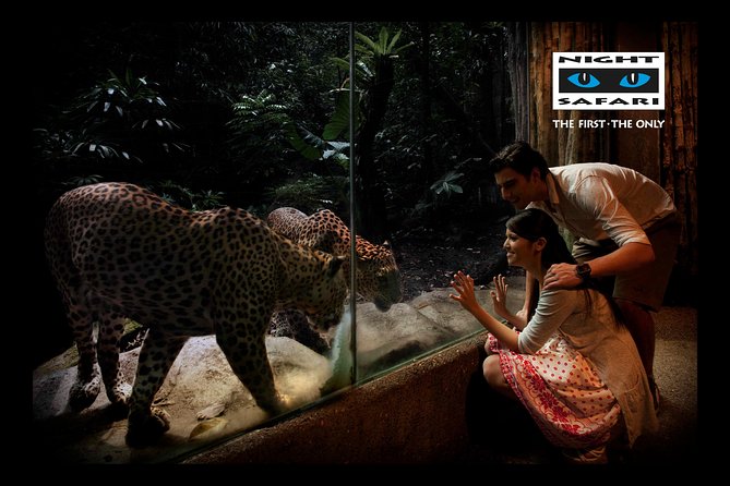 Night Safari Tour with Transfer - Dinner option at Ulu Ulu Safari Restaurant: when it’s worth it