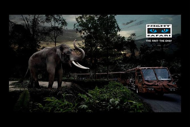 Night Safari Tour with Transfer - The open-air tram: 40 hectares of night habitats in motion