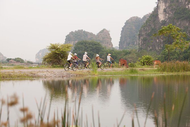 Ninh Binh Day Tour To Visit Hoa Lu - Trang An/Tam Coc - Mua Cave - Mua Cave steps: the view is worth the work