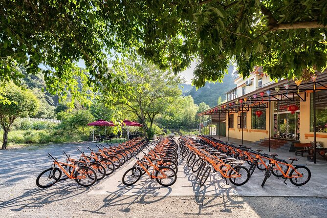 Ninh Binh Day Trip: Bai Dinh-Trang An-Mua Cave, Buffet, Boat, Bus - Price and value: why this bundle is competitive