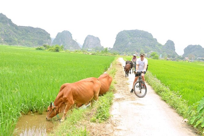 Ninh Binh Full-Day Small Group of 9 Guided Tour from Hanoi - Your guide can make or break the day