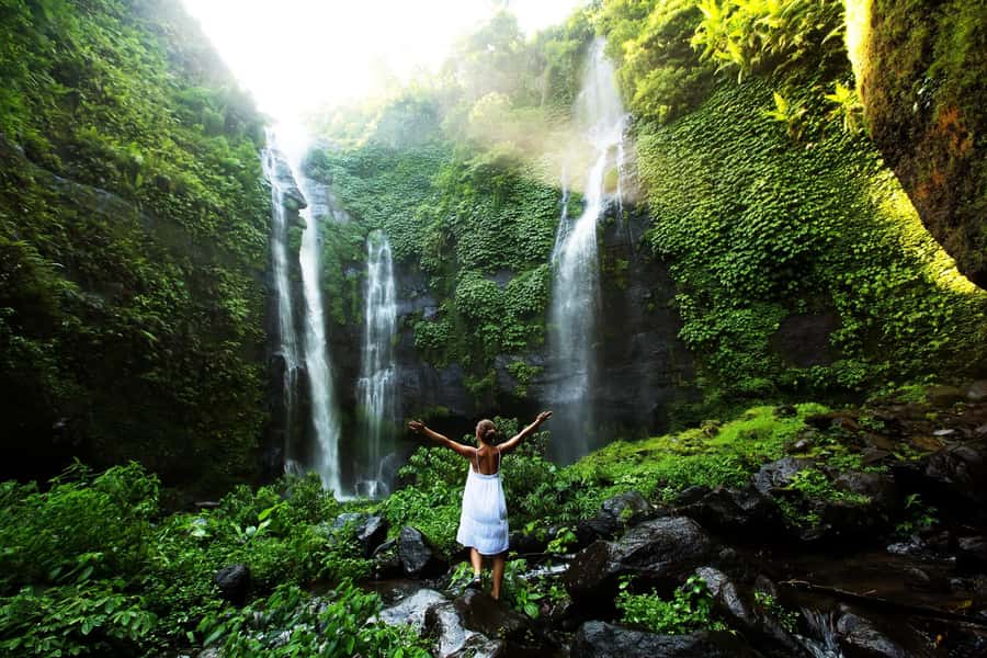 North Bali: Sekumpul Waterfalls and Ulun Danu Temple Tour - Lake Beratan Break: Buffet Lunch with Cooler Air