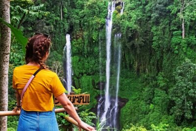 North Bali: Sekumpul Waterfalls and Ulun Danu Temple Tour - Sekumpul Waterfalls: 80m Power, Wading Pools, and the Stairs You’ll Earn