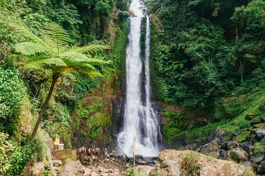 North Bali: Sunrise Tour with Dolphins, Waterfalls & Temples - Key highlights you’ll actually care about