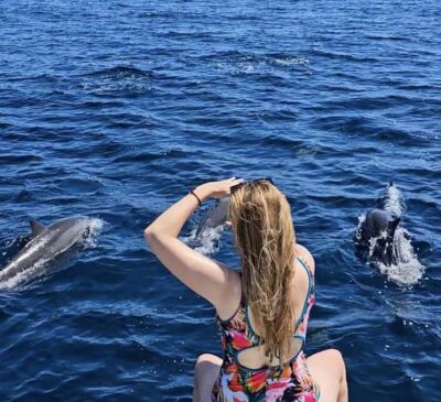 North Bali: Sunrise Tour with Dolphins, Waterfalls & Temples - The boat ride: how dolphin spotting plays out in real life