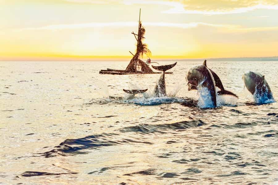North Bali: Sunrise Tour with Dolphins, Waterfalls & Temples - How the 10-hour schedule feels (and why it’s not as long as it sounds)