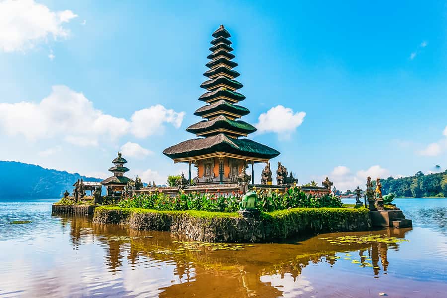 North Bali: Sunrise Tour with Dolphins, Waterfalls & Temples - Price and value: what $55 actually covers