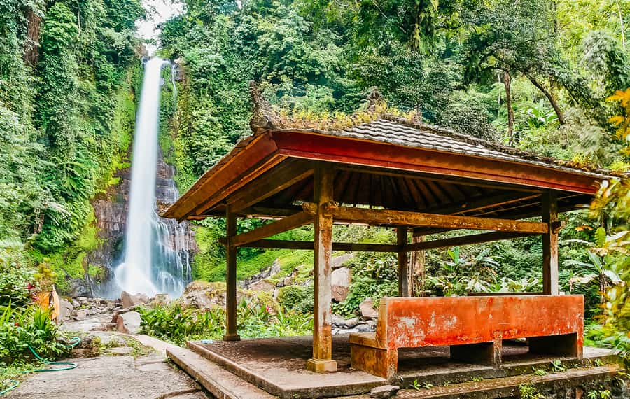 North Bali: Sunrise Tour with Dolphins, Waterfalls & Temples - What to bring for dolphins, waterfalls, and temple time
