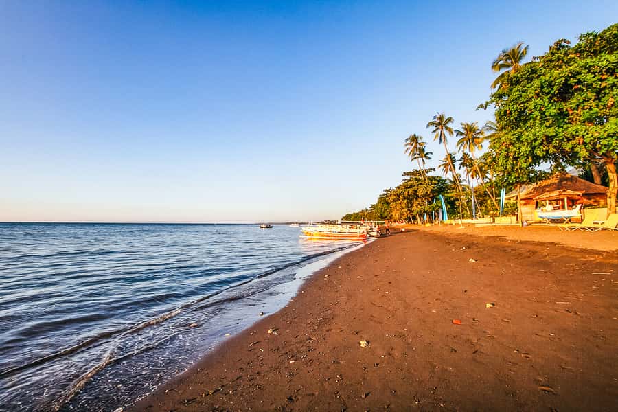 North Bali: Sunrise Tour with Dolphins, Waterfalls & Temples - Who should book this North Bali sunrise tour