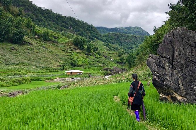 Number one top rated ethical cultural trekking and homestay by ETHOS - Meeting ETHOS in Sapa: timing and expectations