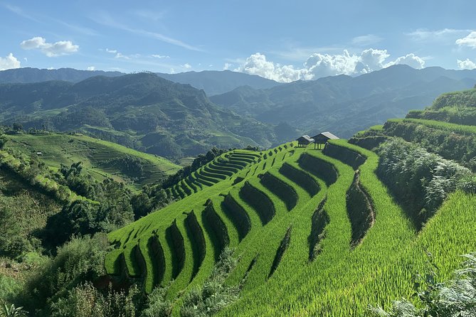 Number one top rated ethical cultural trekking and homestay by ETHOS - Day 2: choose your path, then taxi back to Sapa
