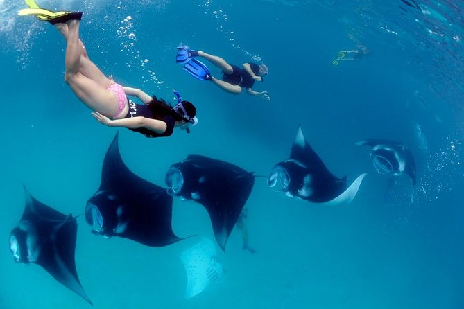 Nusa Penida Snorkeling Adventure (Private & All-Inclusive) - Morning Pickup and the Speedboat Grind (But It’s Organized)
