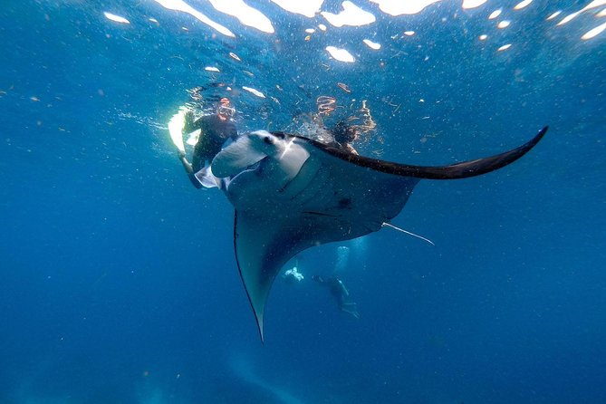 Nusa Penida Snorkeling Adventure (Private & All-Inclusive) - Safety, Seasickness, and When the Day Gets Adjusted