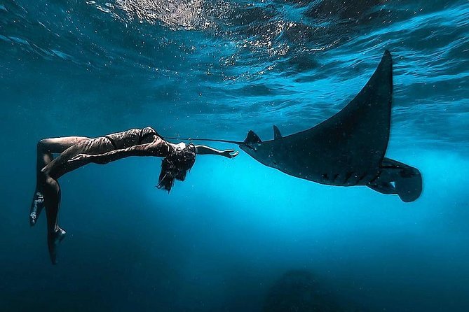 Nusa Penida Snorkeling Adventure (Private & All-Inclusive) - Manta Bay and GT Bay: The Big-Ocean Payoff