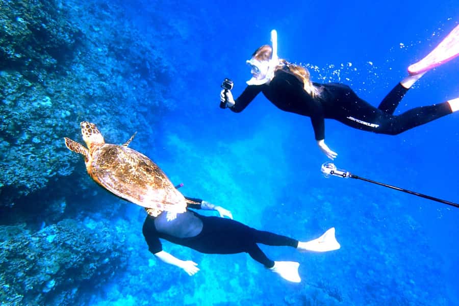 Okinawa: From Naha: Kerama Islands 1-day snorkeling tour - Winter snorkeling in Okinawa: 22°C water, 20°C air, and how to dress smart