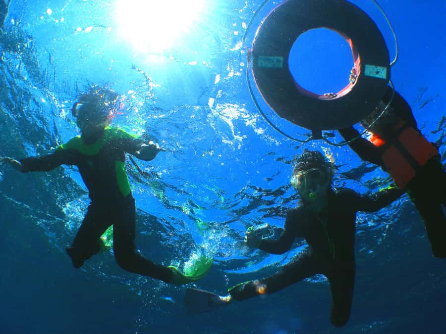 Okinawa: From Naha: Kerama Islands 1-day snorkeling tour - Food, lunch, and what to pack for a smooth day