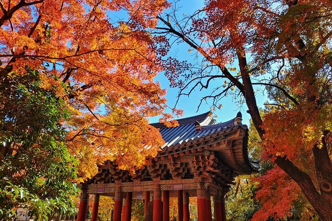 Old Korea Thousand History Tour of Gyeongju from Busan - Getting From Busan to Gyeongju: Pickup Points Matter