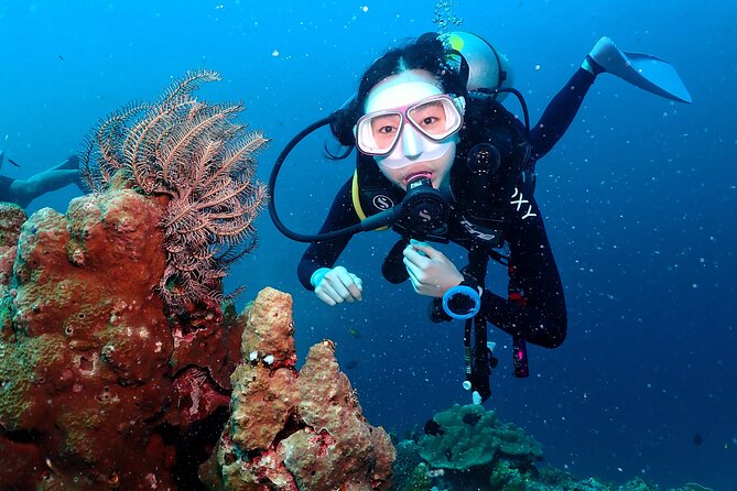 Open Water Course - Become certified diver in 3 days - Key things that make this Koh Tao course work