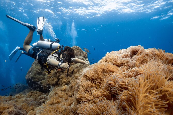 Open Water Course - Become certified diver in 3 days - Why Koh Tao is a smart place for Open Water training