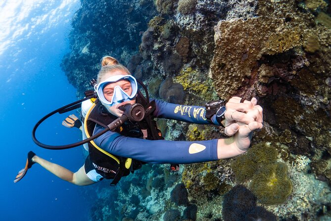 Open Water Course - Become certified diver in 3 days - Koh Tao’s conditions: depth, clarity, and calm water for beginners